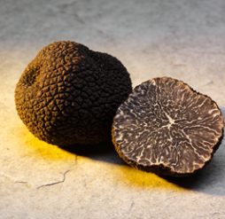 info-254-247 info-254-247